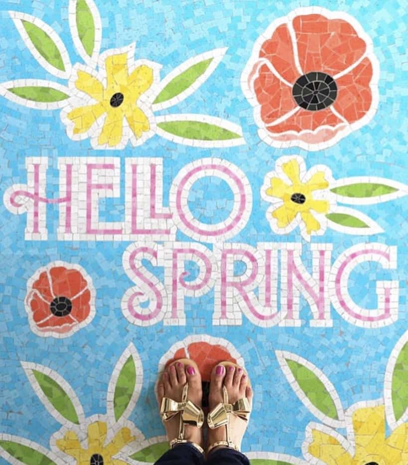 floral mosaic floor design logo with text 'hello spring'