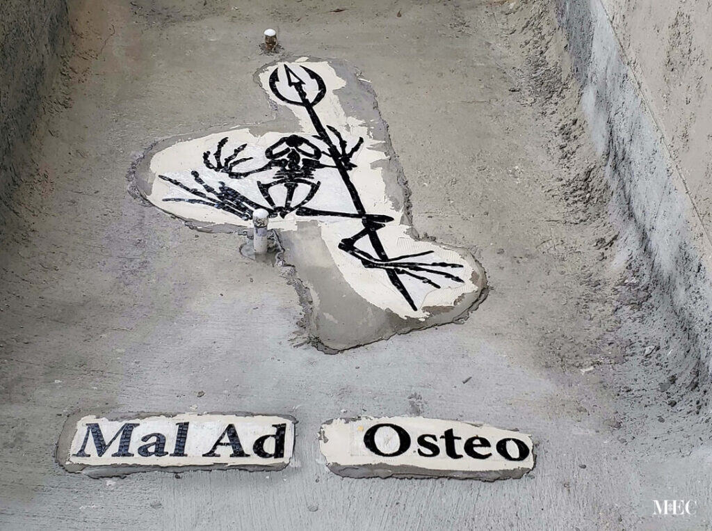 mal ad osteo frog skeleton pool bed mosaic emblem insignia navy SEALs installation close-up image