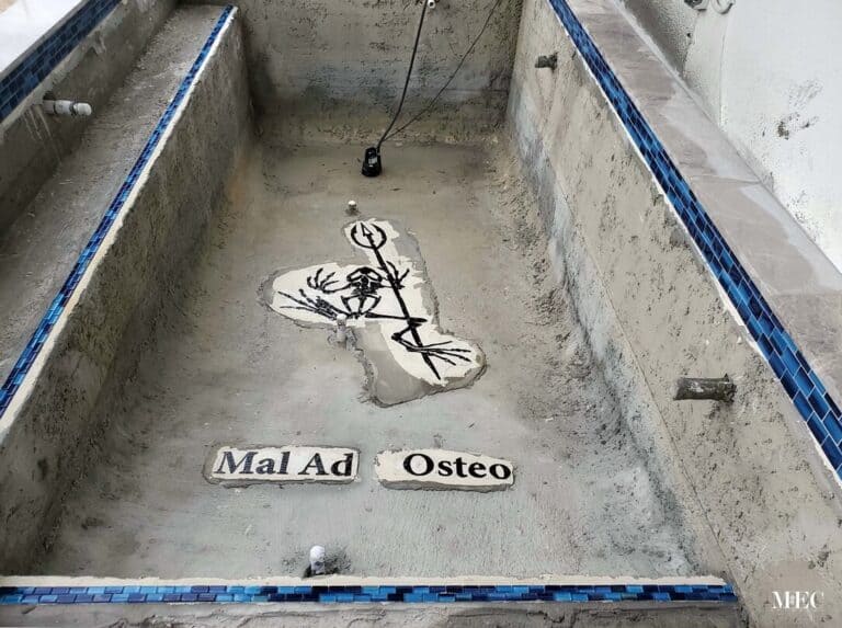 mal ad osteo frogman skeletal pool bed mosaic emblem insignia navy SEALs freshly installed wip